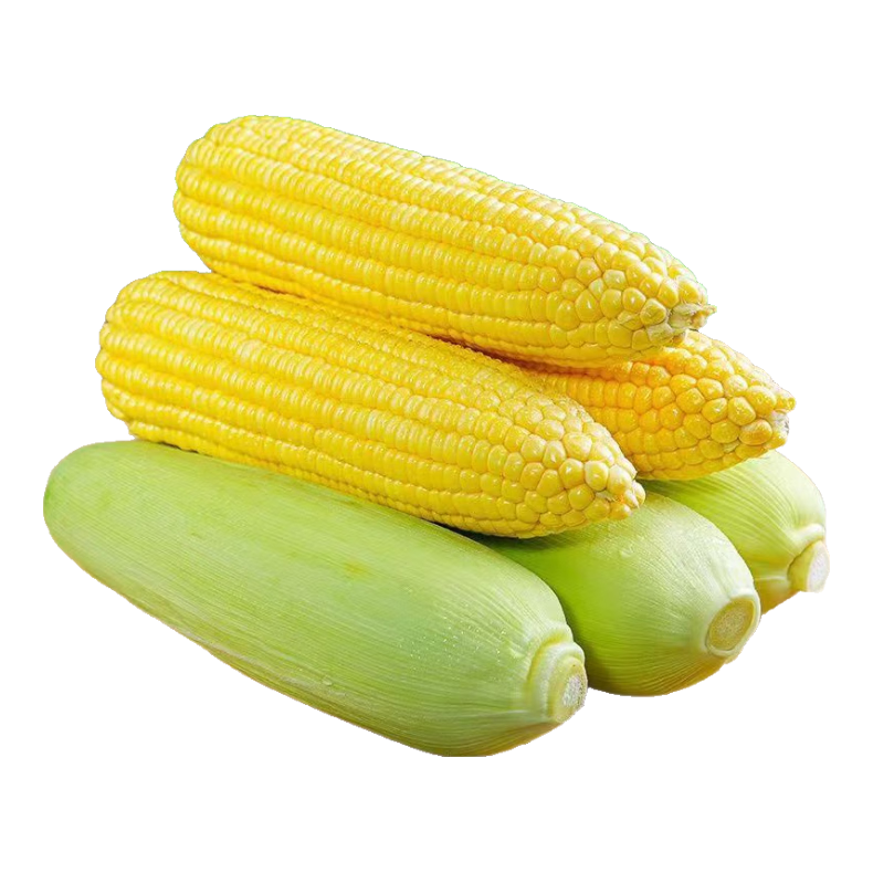 云南高原新鲜水果玉米 300g/棒 1.8-2斤含箱 1.09元(需拼团)