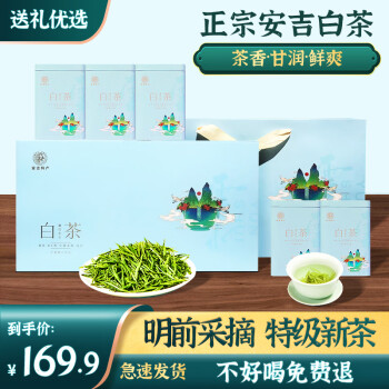 源聞白茶 安吉白茶新茶叶原产地白茶简装礼盒装A4雨前特级绿茶 特级200g1盒