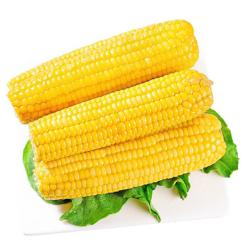 土地母亲计划 云南金银水果玉米 5斤 单果300g起*2件 39元包邮(需买2