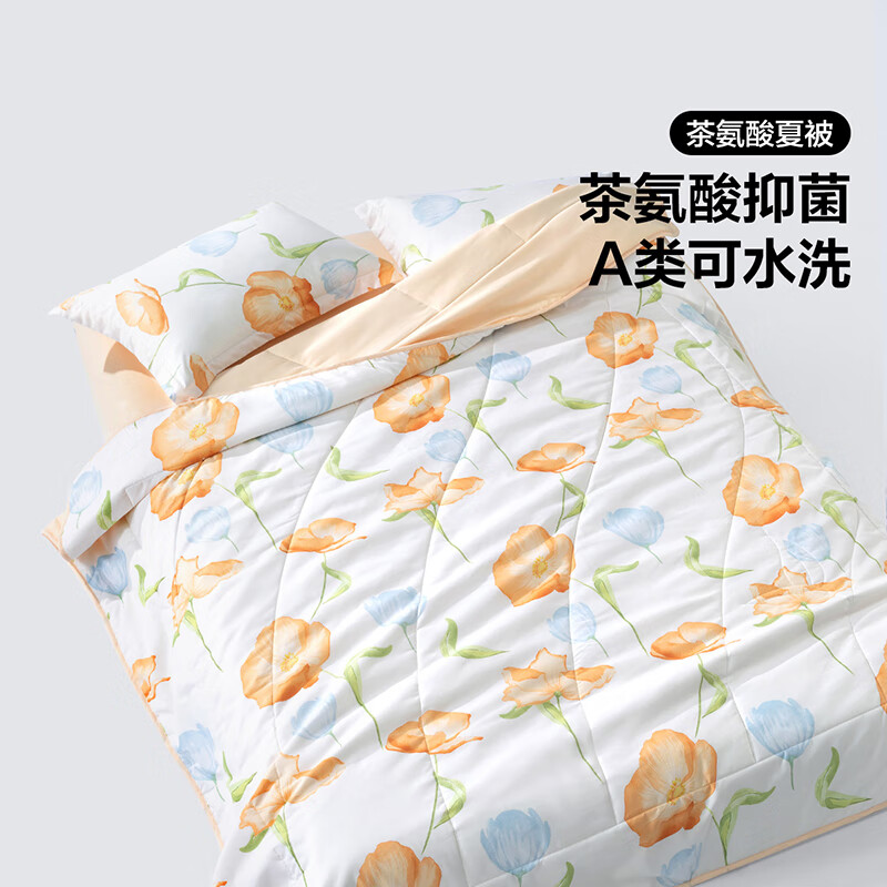 BLISS 百丽丝 A类可水洗 茶氨酸抗菌夏凉被 200cmx230cm ￥44.85