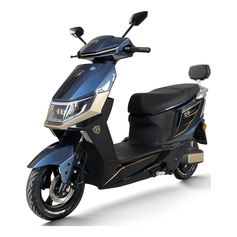 立马电动车 极昂100公里长续航电动车1500W电机 96V20Ah铅酸电池前后碟刹 星际