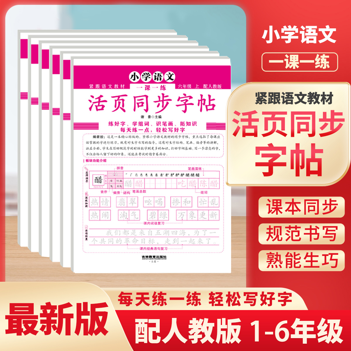 2025阳光同学活页默写计算能手练字帖板一二三四五六年级下册人教版语文数