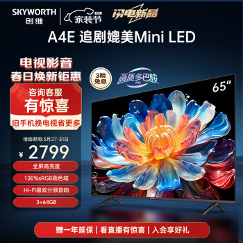 SKYWORTH 创维 电视65A4E 65英寸电视机高亮高色域400nits3+64G智慧屏彩电液晶4K超