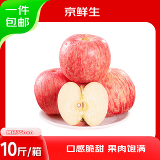 京鲜生 山东烟台红富士苹果 净重10斤 果径75mm+ 新鲜水果 源头直发 35.1元 - 86线报 京鲜生 山东烟台红富士苹果 净重10斤 果径75mm+ 新鲜水果 源头直发 35.1元 - 86线报