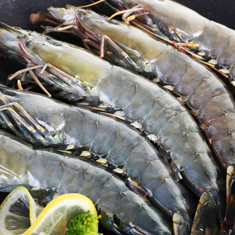 京东生鲜 泰国黑虎虾 1.8kg 279元(需用券) - 逛丢