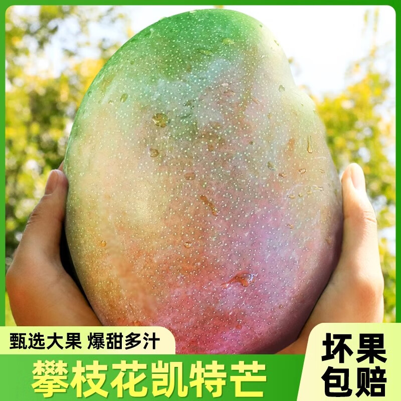 庾丰 当季新鲜金煌芒新鲜现摘芒果水果 热带整箱当季芒果 净重9斤装 单果20
