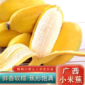 祁语 广西小米香蕉 1.5斤 6.37元（需买3件，共19.1元，需用券）