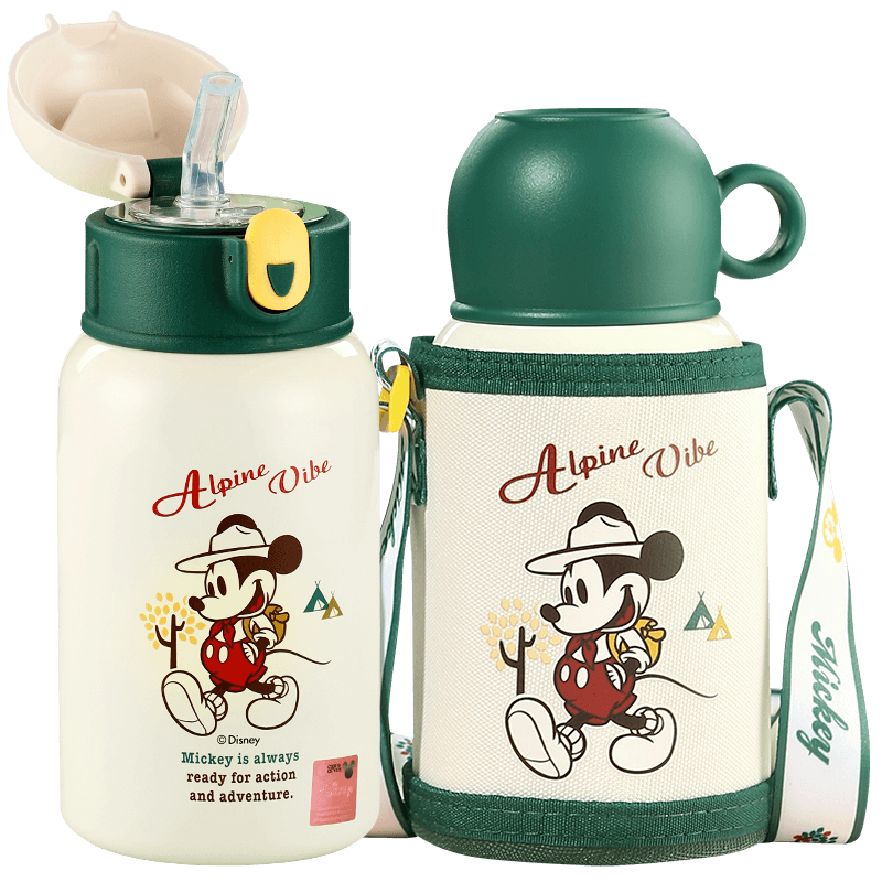 Disney 迪士尼 316不锈钢儿童保温杯带吸管直饮壶 520ml *2件 74.34元合37.17元/件