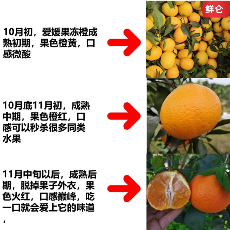 京地达 四川爱媛38号果冻橙橘桔子鲜水果净重5-5.2斤大果源头直发包邮 23.9元 - 86线报