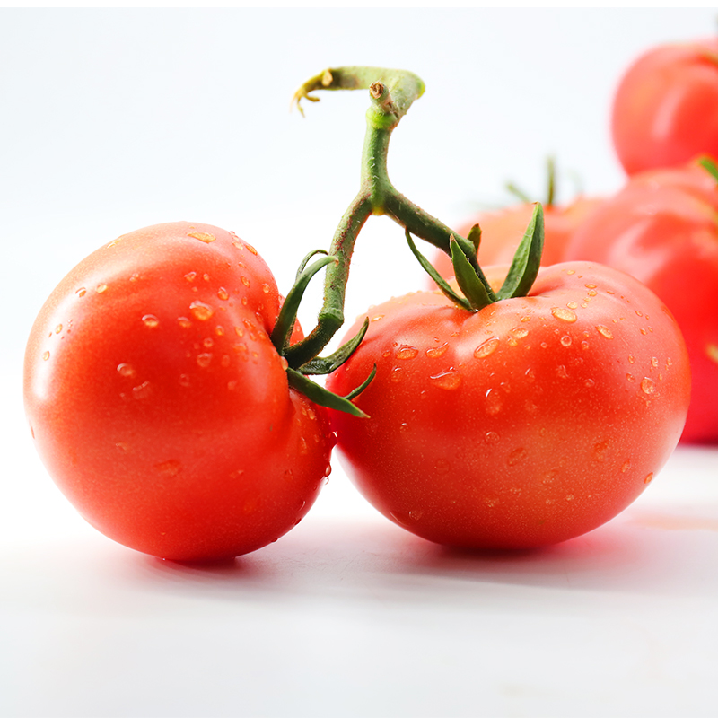 GREER 绿行者 普罗旺斯番茄5斤装自然熟番茄 32.9元