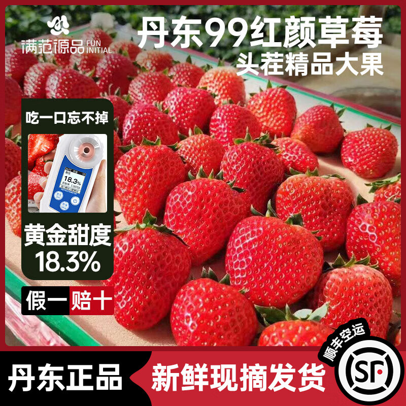 满fun 丹东奶油红颜大草莓当季新鲜水果整箱源头直发 均重25g+尝鲜2斤 69.5元