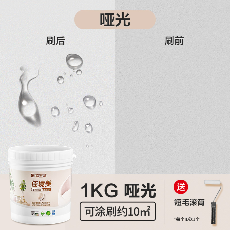 CARPOLY 嘉宝莉 罩面漆艺术室内墙面乳胶漆保护漆防水透明水性哑光自刷油漆 