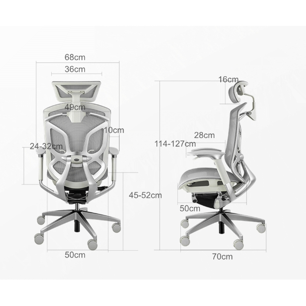 ERGOUP 有谱 蝴蝶2.0旗舰 人体工学椅电脑椅 2520元包邮（双重优惠）