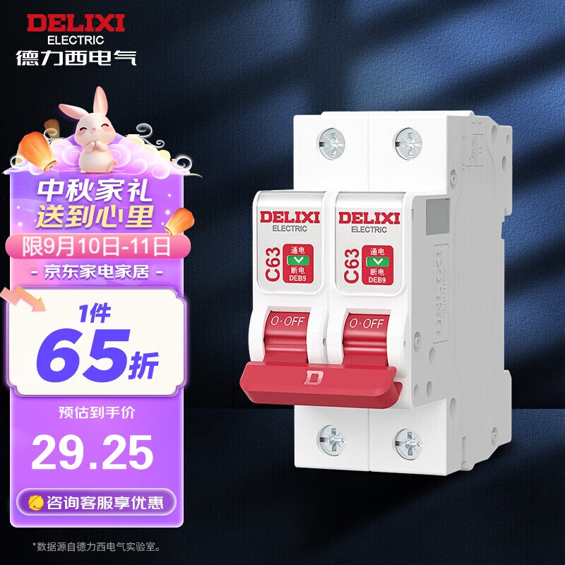 DELIXI 德力西 空气开关 DEB9鲸鱼系列 家用空开小型断路器2P双极断路器 2P63A 29