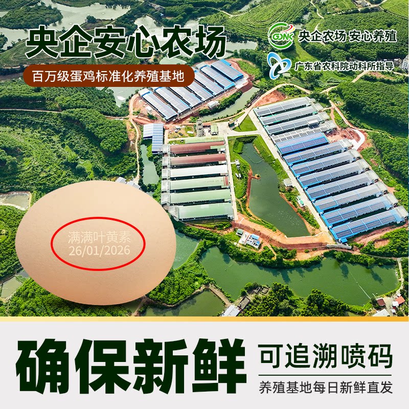 蛋益满满 猫超臻选叶黄素鸡蛋50g*30枚蛋益满满无抗无沙门氏菌鲜蛋可生食级 21.52元 - 86线报