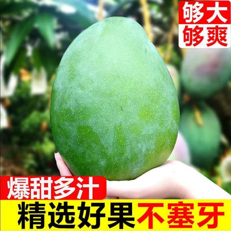 单果400-500g 四川攀枝花凯特芒 券后12.9元