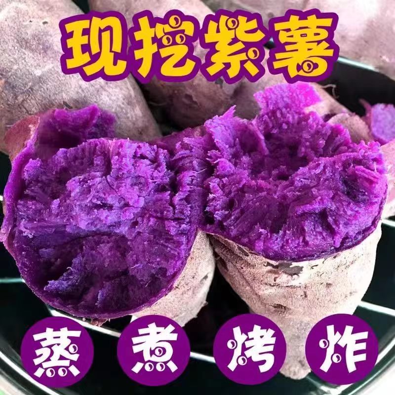 太极谷 紫薯新鲜粉糯香甜现挖沙地紫心蜜薯地瓜小番薯山芋农家自种蔬菜 9.