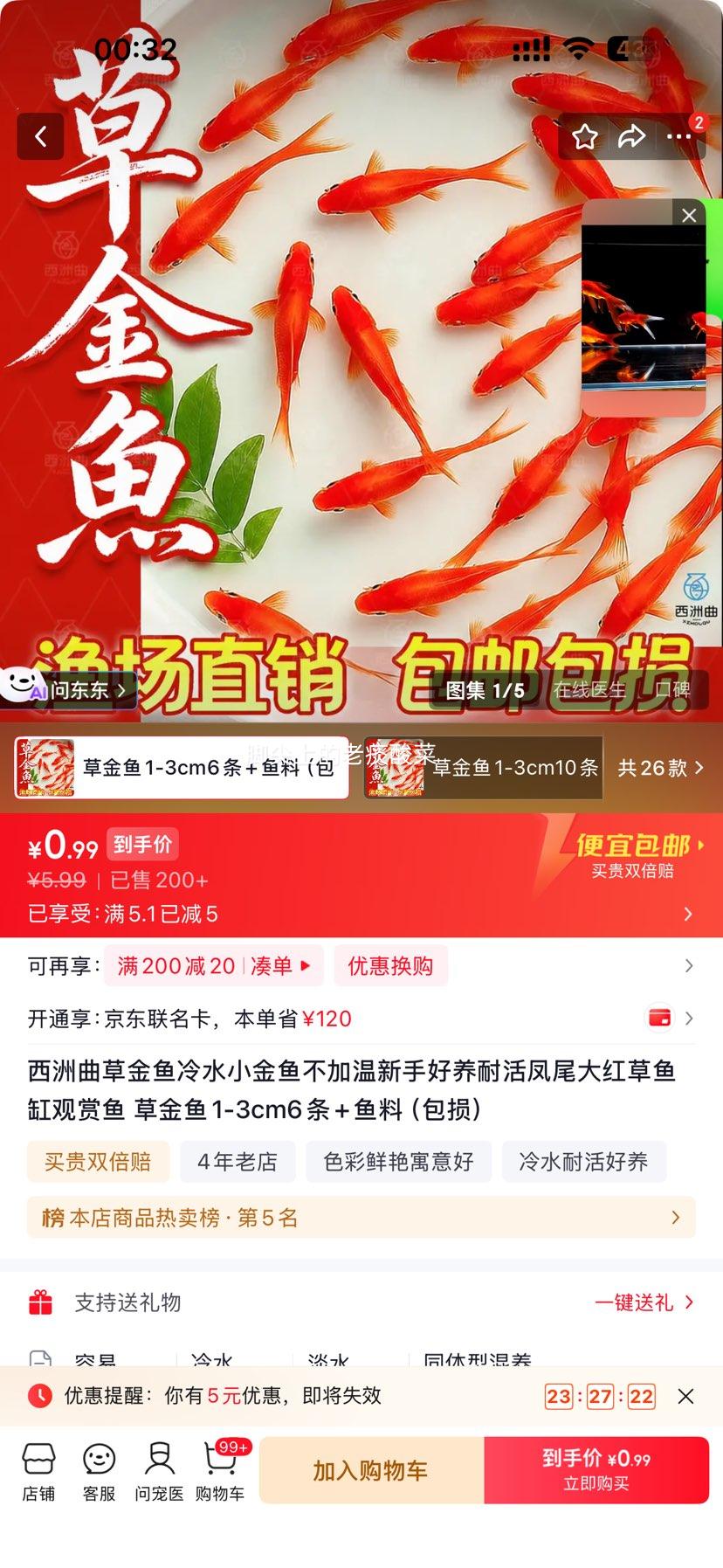 西洲曲草金鱼 1-3cm×6条 凤尾大红 观赏鱼 包活包损 0.99元 共6条！送鱼料 - 线报酷