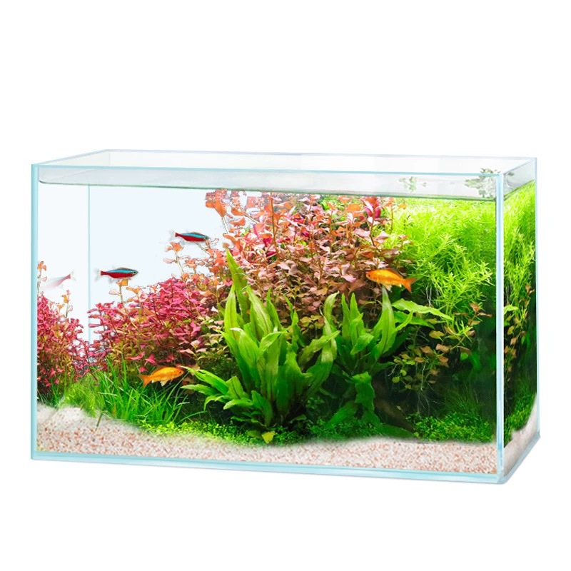 Bessn 金晶五线超白鱼缸小型客厅大型玻璃裸缸桌面生态造景水草缸溪流缸 ￥
