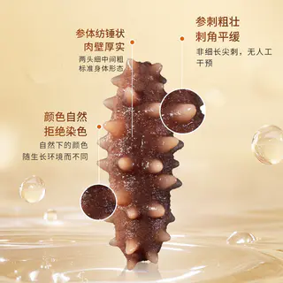 獐子岛 即食海参500g参萌萌大连底播海参非淡干鲜食海参无冰辽参 208.05元 - 线报酷 獐子岛 即食海参500g参萌萌大连底播海参非淡干鲜食海参无冰辽参 208.05元 - 线报酷