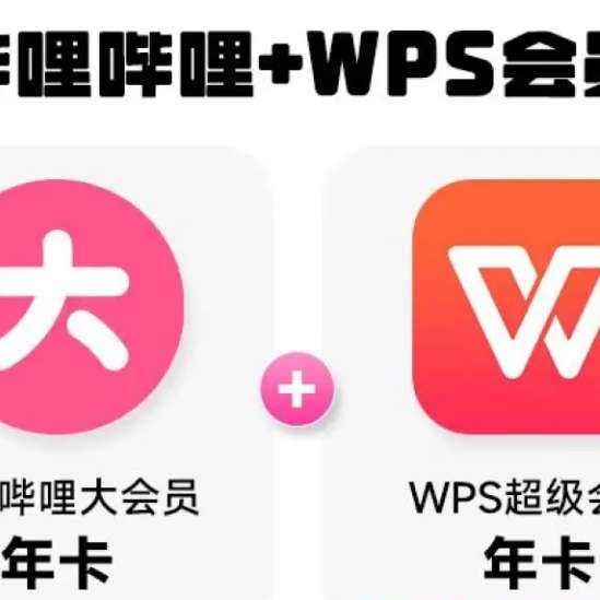 双11狂欢：哔哩哔哩大会员年卡 12个月 填手机号充值 送WPS会员年卡 148元（