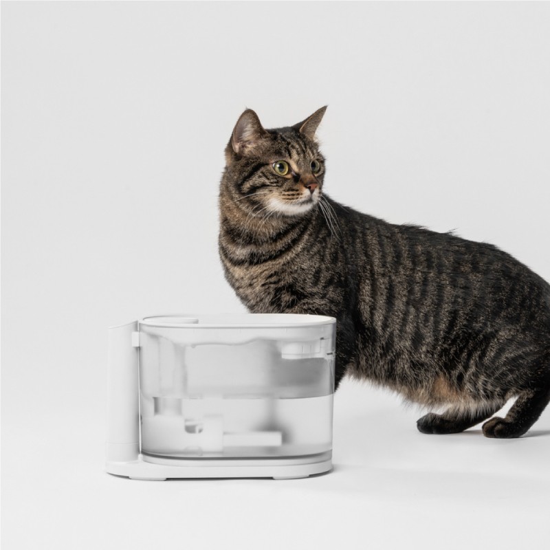 pidan宠物饮水机 恒温猫咪饮水器自动循环狗狗喂水器活水机 231.2元
