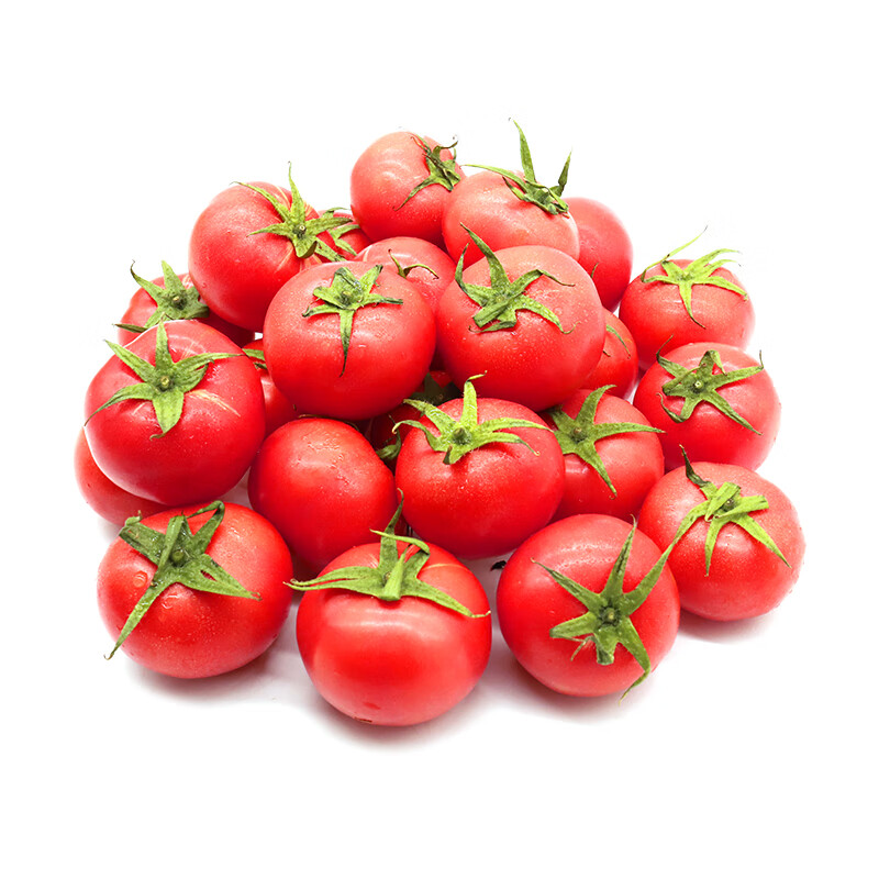 GREER 绿行者 普罗旺斯番茄 4.8斤 23.42元
