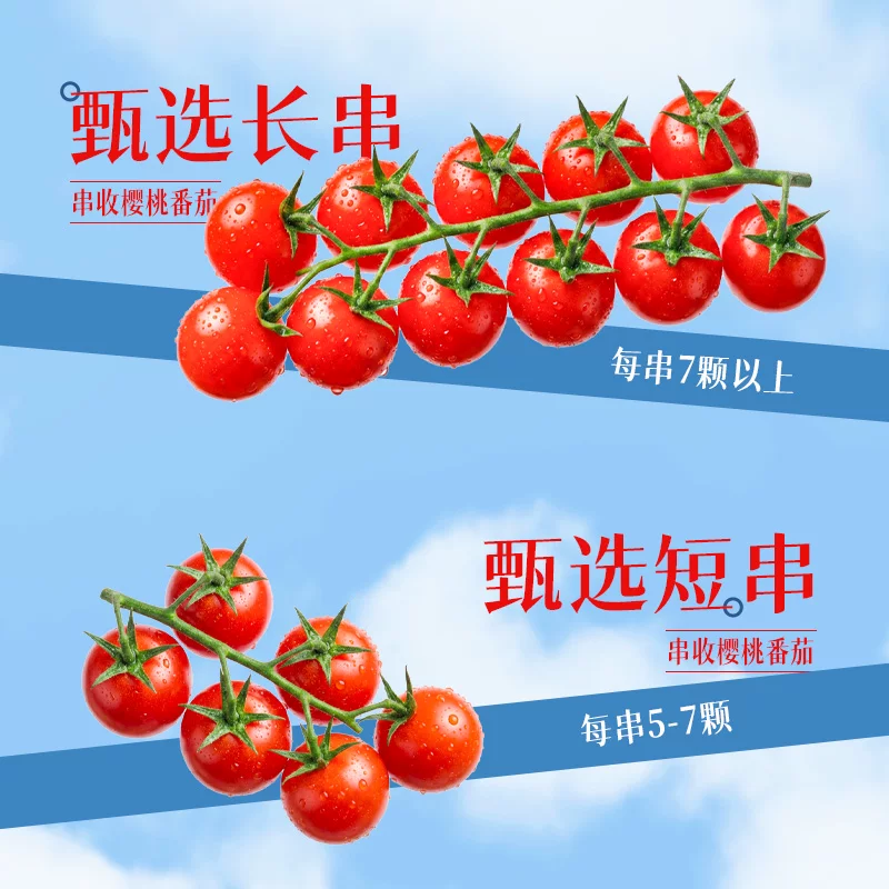 柿一家 樱桃番茄新鲜水果千禧圣女果小西红柿绿色健康800gPET 18.6元 - 清风线报