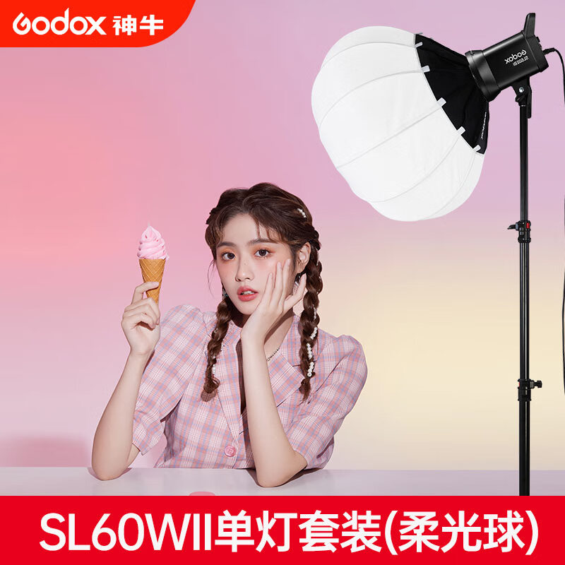 Godox 神牛 SL60IID摄影灯LED常亮太阳灯 SL60W单灯套装+灯笼罩 白光版 786元（需