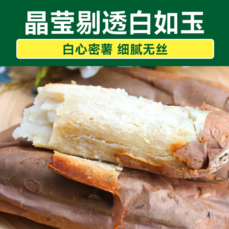 绿行者 哈密薯白薯白心地瓜番薯烤地瓜烤红薯白心冰糖薯烤红薯4.5斤 25.48元 - 86线报