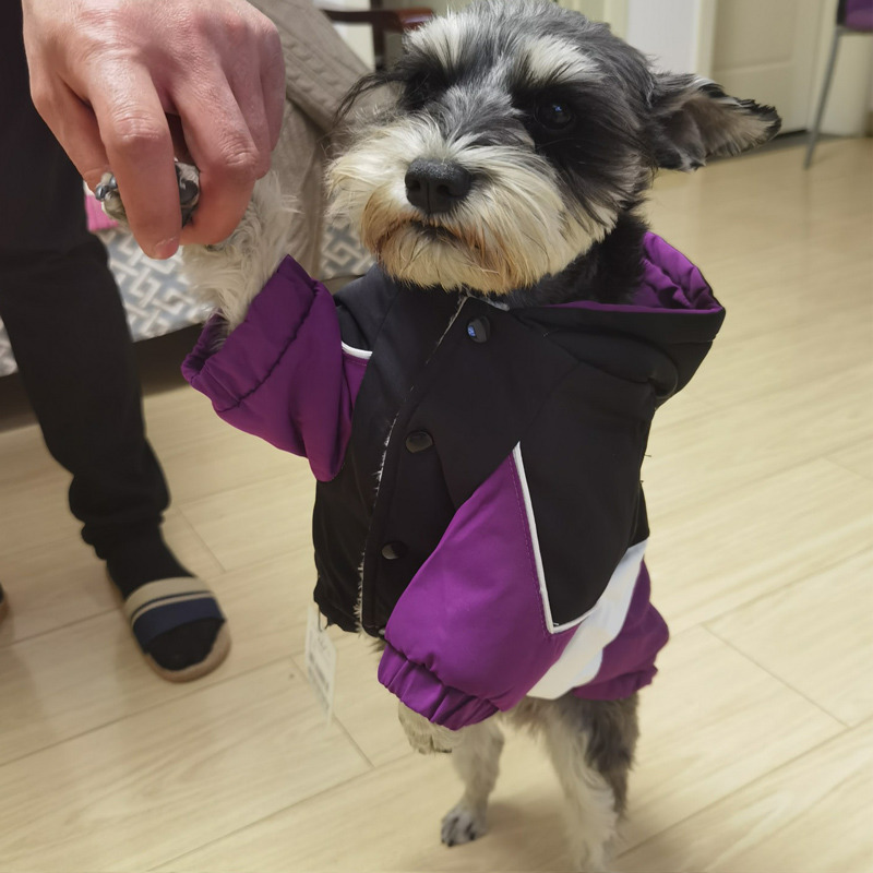 Hoopet 狗狗衣服秋冬雪纳瑞泰迪犬棉服冬天冬装保暖宠物小狗棉衣冬季加绒 14