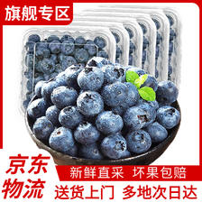 呈鲜菓农 国产蓝莓 新鲜大果蓝莓 当季时令水果生鲜 送礼物推荐 精选果经