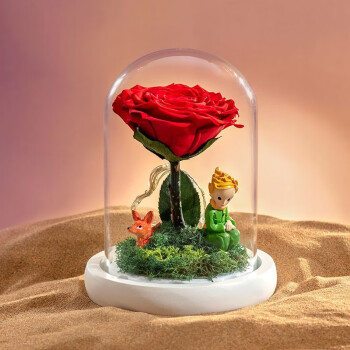 JoyFlower RoseBox小王子的玫瑰花鲜永生花礼盒520情人节生日礼物女送女友老婆