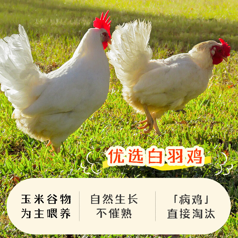西贝 莜面村 高蛋白亚麻籽鸡排85g 7.6元 - 美泡泡