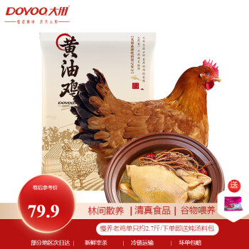 DOYOO 大用 农家散养黄油鸡2.7斤*2只（还有12元/只的烤鸡）