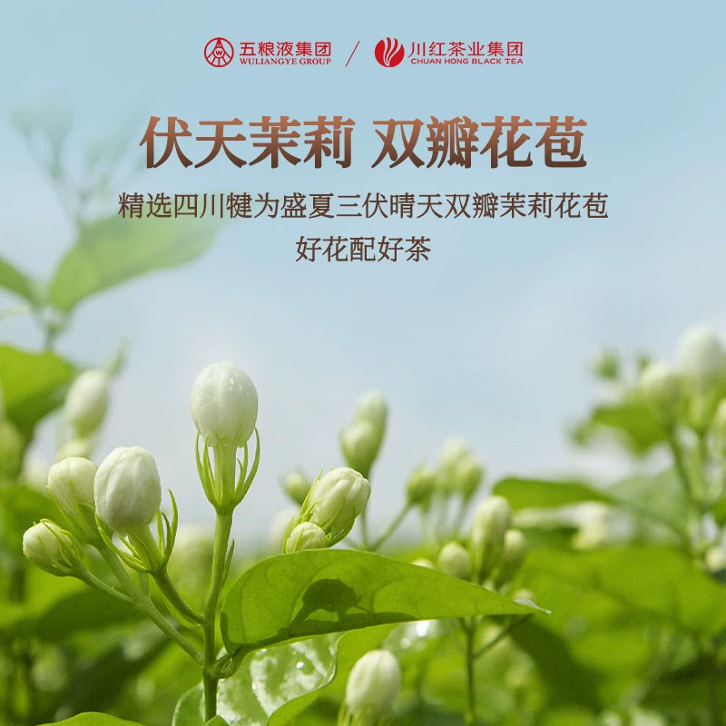 林湖 飘雪茉莉花茶2025新茶特级浓香型花茶四川特产茶叶共125g 21.57元 - 86线报