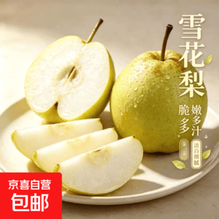 京喜加 河北 雪花梨 带箱约10斤 净重9.2斤 单果 300g+彩箱 24.8元 - 86线报 京喜加 河北 雪花梨 带箱约10斤 净重9.2斤 单果 300g+彩箱 24.8元 - 86线报