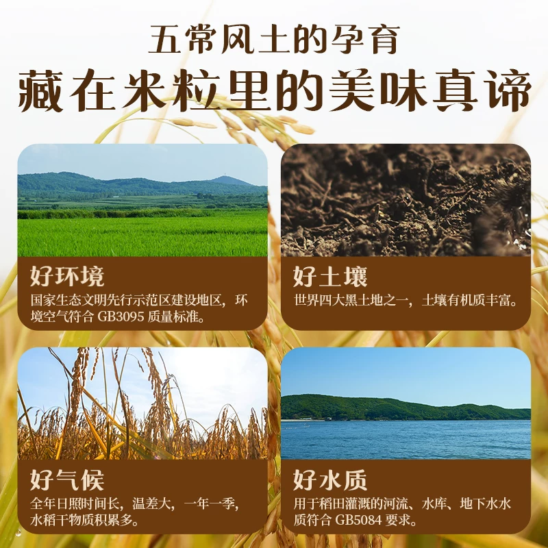 十月稻田 五常香米10kg*2五常大米东北大米中秋送礼 153.82元 - 线报酷