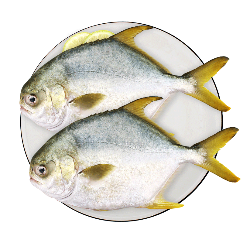 环球水产金鲳鱼 700g 2条装 BAP认证 深海鱼 冷冻 生鲜 鱼类 海鲜 48.8元（合24.4元/件）