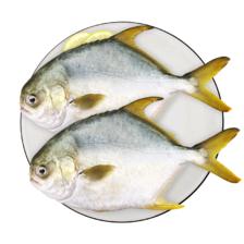 环球水产金鲳鱼 700g 2条装 BAP认证 深海鱼 冷冻 生鲜 鱼类 海鲜 48.8元（合24.4