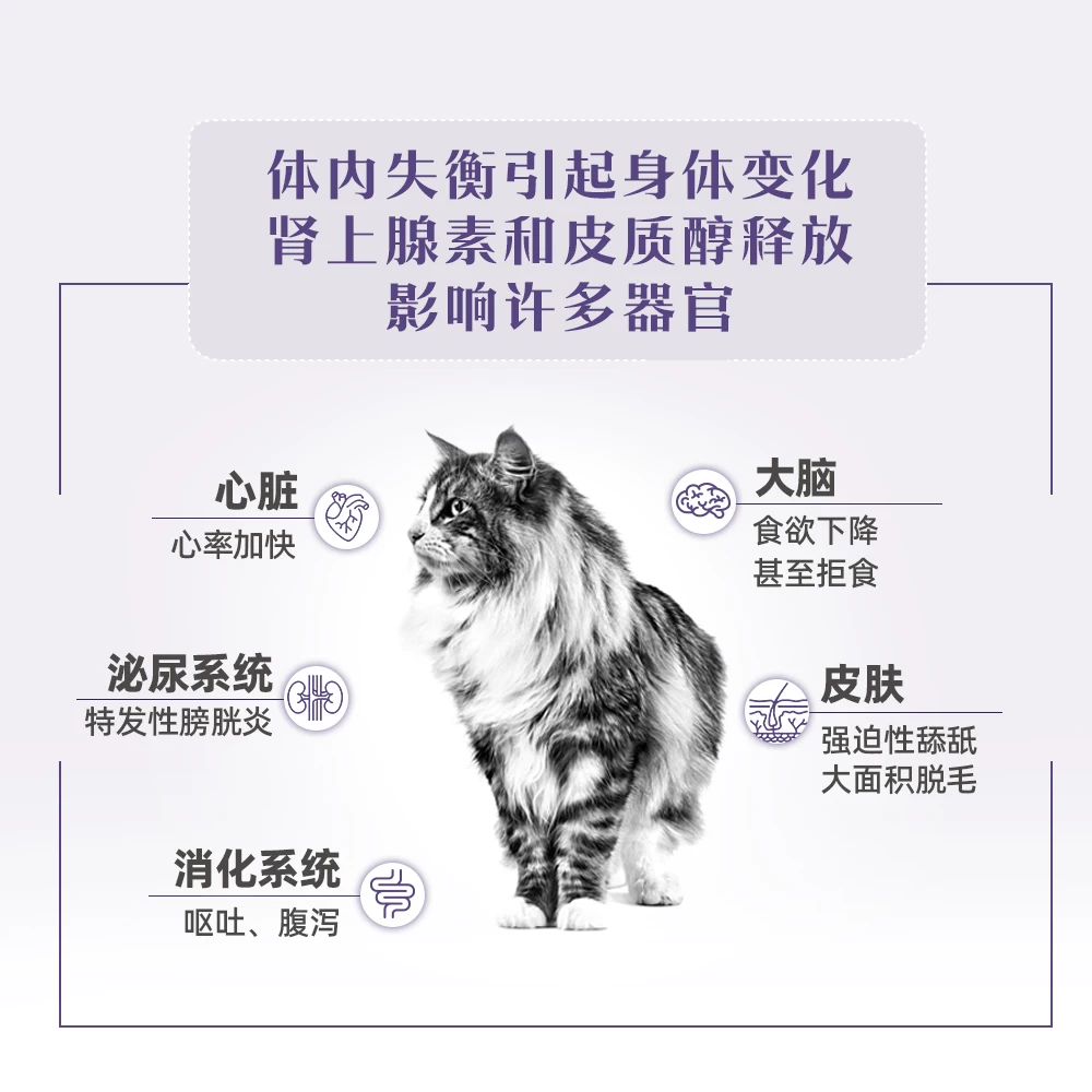 皇家 CAL36情绪舒缓成猫猫咪干粮 1.5kg 175.45元 - 清风线报