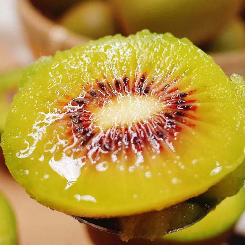 luce麓鹊蒲江红心猕猴桃精选12粒装单果7090g新鲜水果奇异果199元