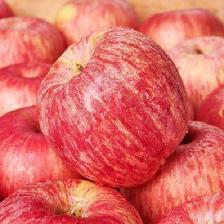 PLUS会员：鲜合汇优 烟台红富士苹果 新鲜水果 净重8斤单果75-80mm 22.65元包邮