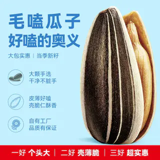 洽洽 大颗粒 瓜子500g*3袋 22.19元 - 线报酷 洽洽 大颗粒 瓜子500g*3袋 22.19元 - 线报酷