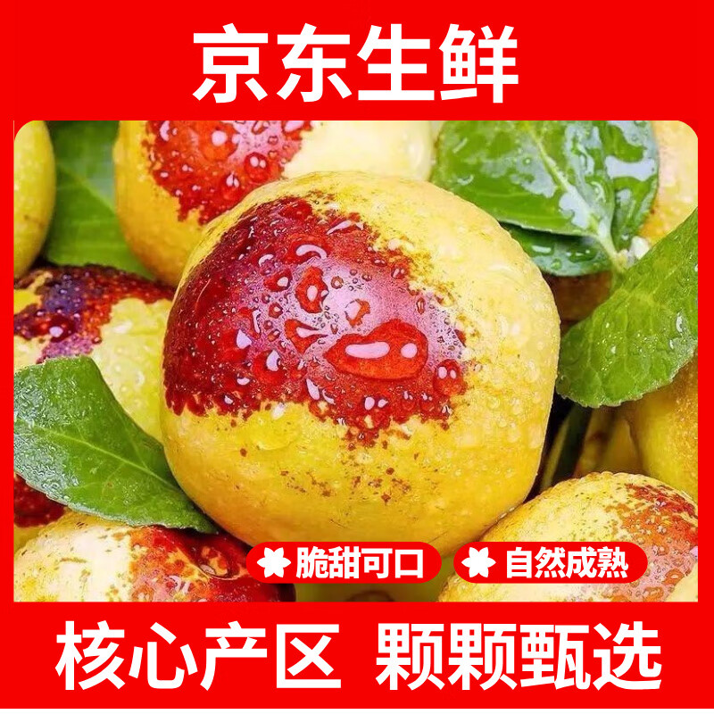 疆域采虹正宗现摘丑八怪柑橘子新鲜水果当季酸甜口橘子生鲜水果整箱 特选