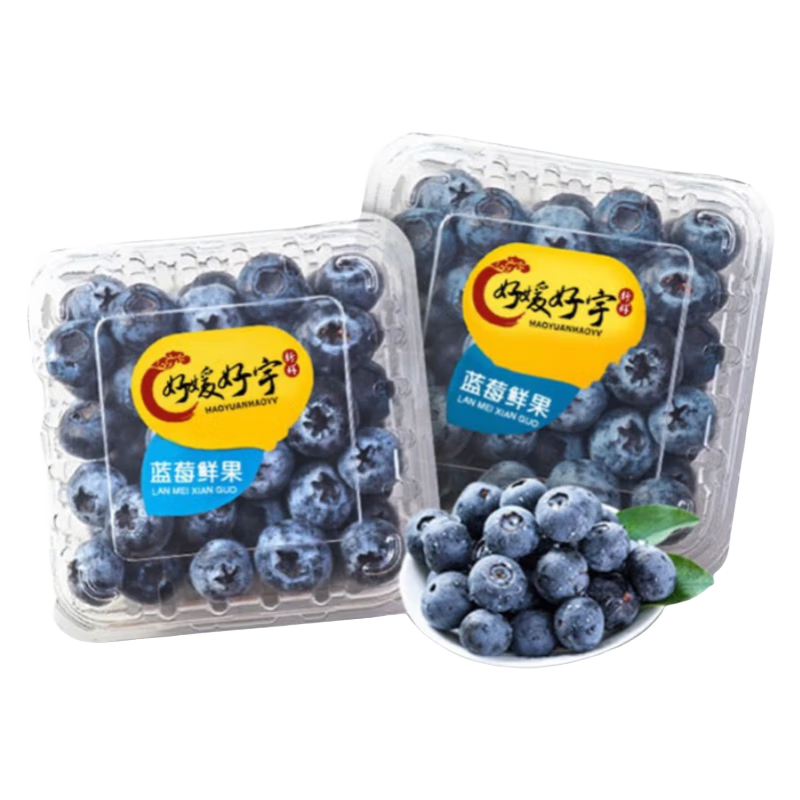 好媛好宇山东蓝莓水果 生鲜新鲜水果礼盒 125g*4盒优选单果约12-15mm 19.9元（