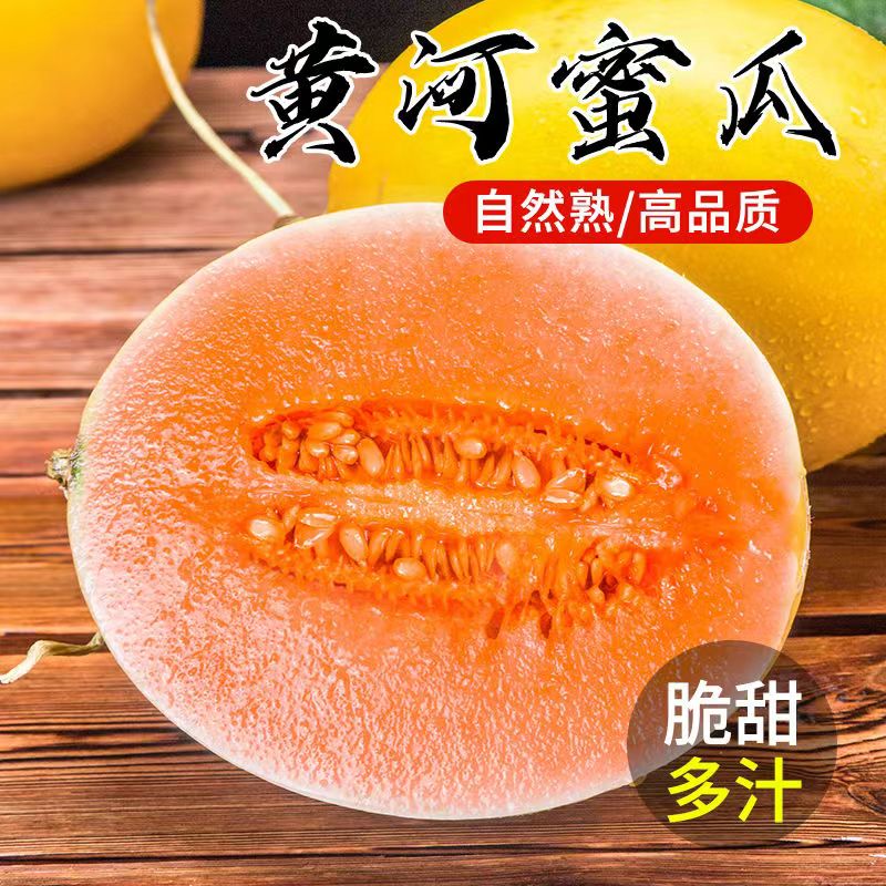 初石 特大果 甘肃民勤 冰糖 沙漠瓜 黄河蜜甜瓜 4.5斤装（1-2个） 16.44元（需