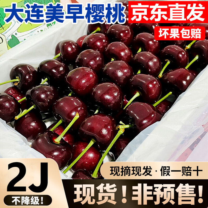 诱鲜地 大连美早大樱桃礼盒 1斤JJ级28-30mm 车厘子新鲜水果源头直发 1斤 JJ级2