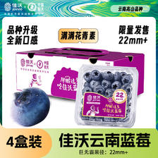 JOYVIO 佳沃 云南精选蓝莓巨无霸22mm+ 4盒装 约125g/盒 新鲜水 79.92元（需买2件