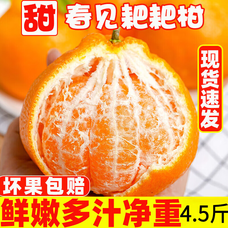 菓灵稥 四川蒲江春见耙耙柑特级大果桔子粑粑柑新鲜水果当季 4.5斤大果75mm+